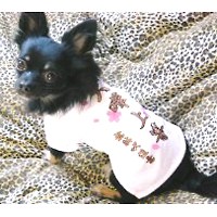 ��,�C�k,dog